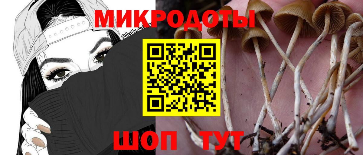 Псилоцибиновые грибы Cubensis  Галлюциногенные грибы Psilocybe  Вход с VPN  Домодедово 